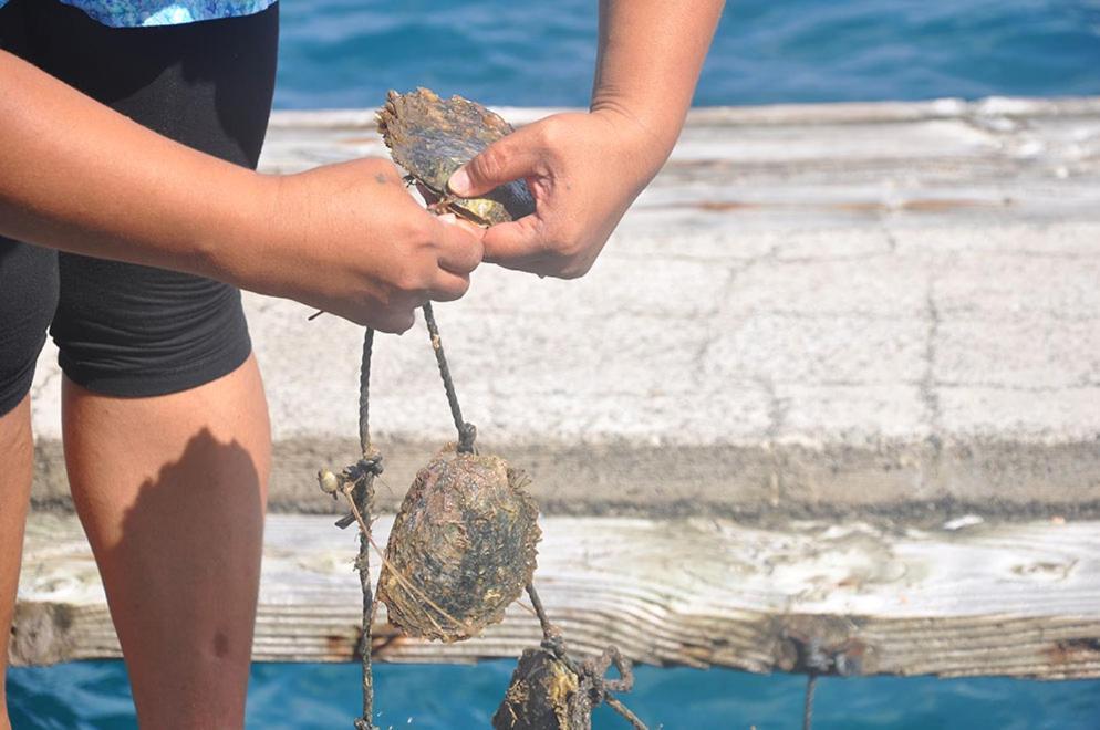 La Perle Tahaa Otel Tapu' amu Dış mekan fotoğraf