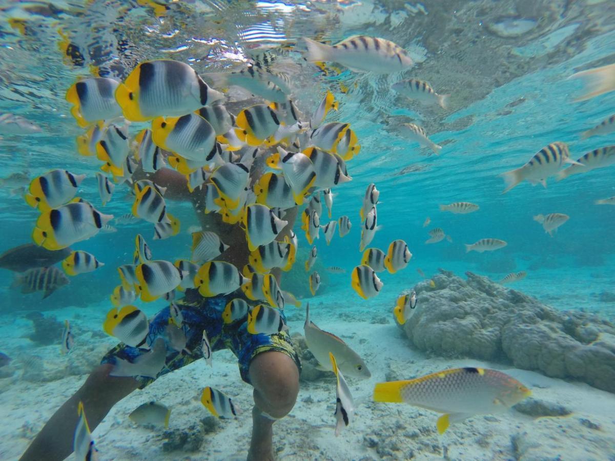 La Perle Tahaa Otel Tapu' amu Dış mekan fotoğraf