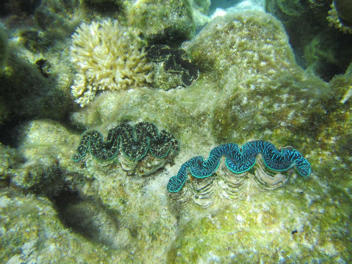 La Perle Tahaa Otel Tapu' amu Dış mekan fotoğraf
